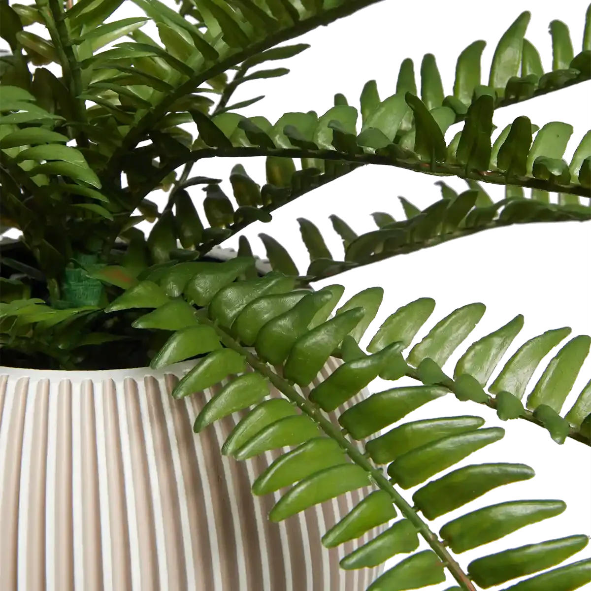 KUNSTPFLANZE Künstlicher Schwertfarn - Bali 51 cm - Grün, Kunststoff (51cm) - aplanta