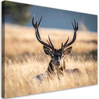 LEINWANDBILD Tiere 120x80cm - Beige, Textil (120/80cm) - Feeby