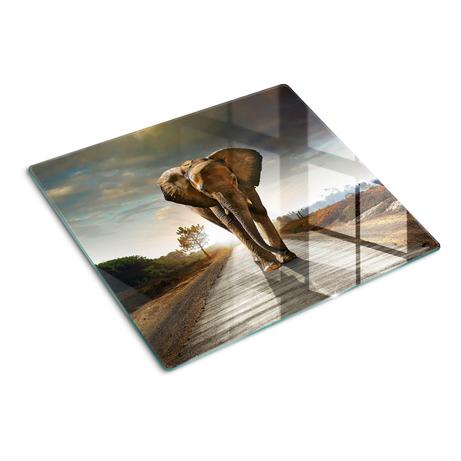 GLASPLATTE 60x52 cm Elefant - Braun, Glas (60/0.4/52cm) - TULUP