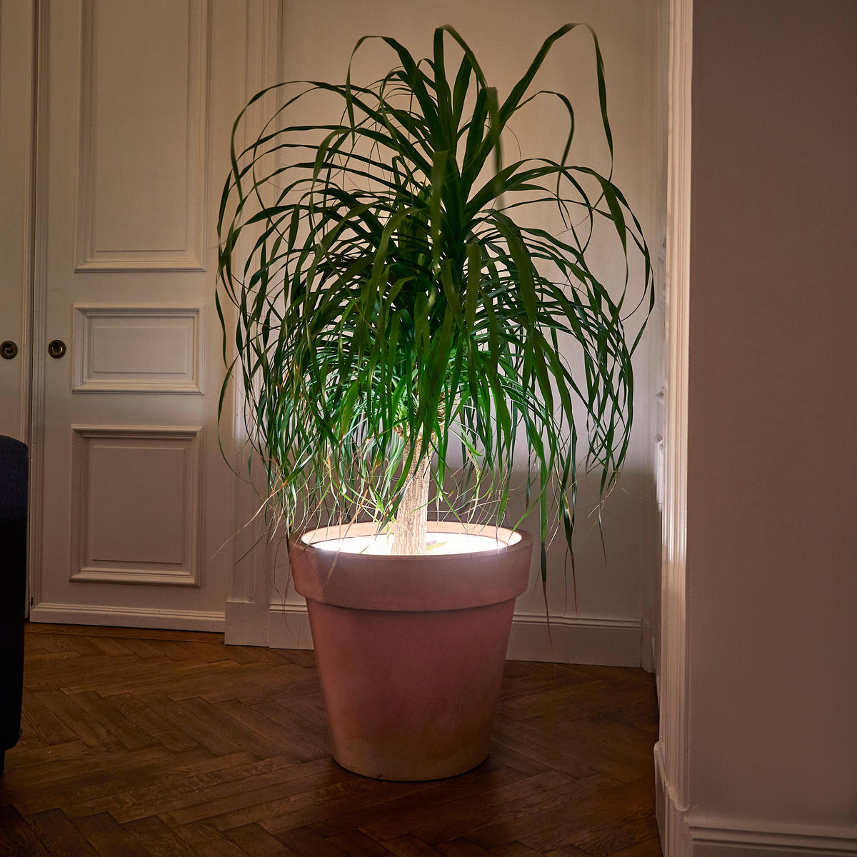 LED-PFLANZENLAMPE - flexible Topfbeleuchtung mit Akku für Innen- und Außenbereich - Weiß, Kunststoff (1.4/11.7/1.4cm) - Northpoint