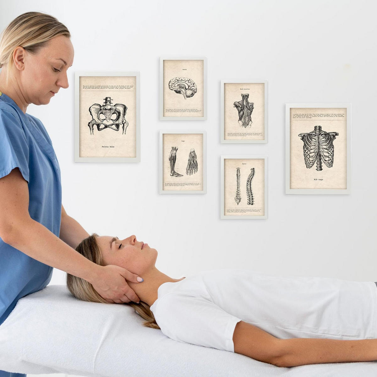 POSTER Set Mit 6 Körperanatomie Größe A3 & A4 Weißer Rahmen - Weiß, Papier (29.7/1cm) - Nacnic