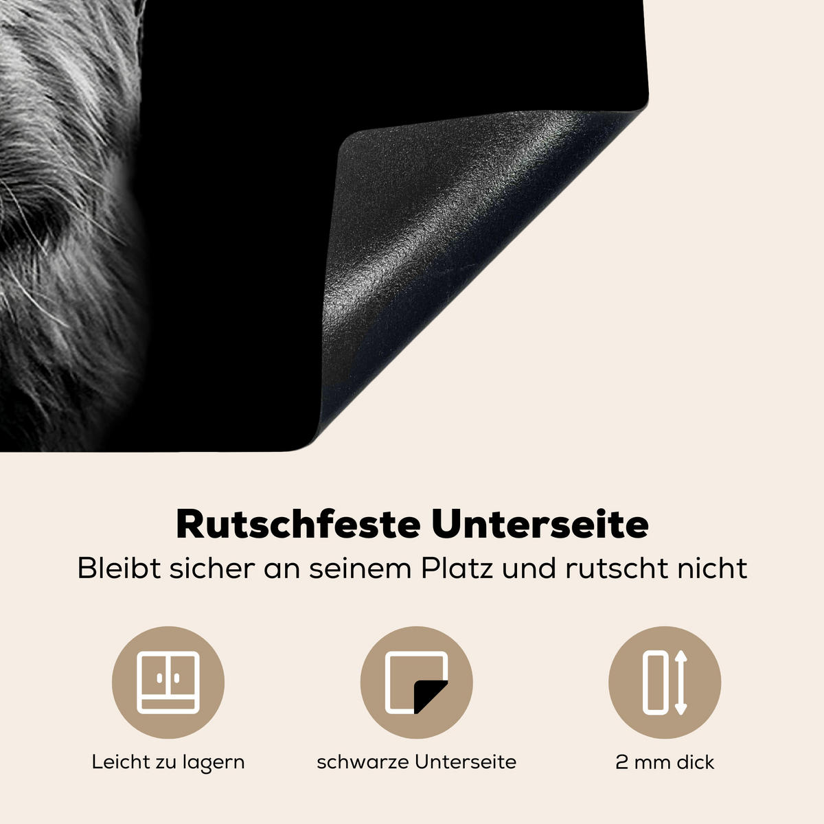 HERDABDECKPLATTE Schottischer Highlander - Hörner - Schwarz - Weiß - Kuh - Wild - Tiere Induktionsschutz 81.6x52.7 cm - Schwarz, Kunststoff (81.6/52.7/0.2cm) - MuchoWow