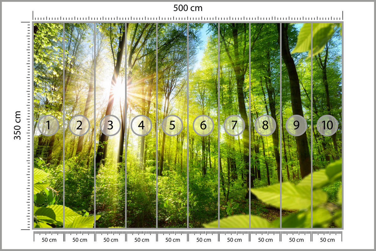 FOTOTAPETE für Wohnzimmer Sonnenaufgang zwischen Bäumen Wald 500x350 - Gelb/Grün, Papier (500/350cm) - Muralo