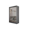 SCHWEBETÜRENSCHRANK FIORELLA 120/216/61 cm 2-türig mit Spiegel Grau - Grau, Holzwerkstoff (120/216/61cm) - MASSENO