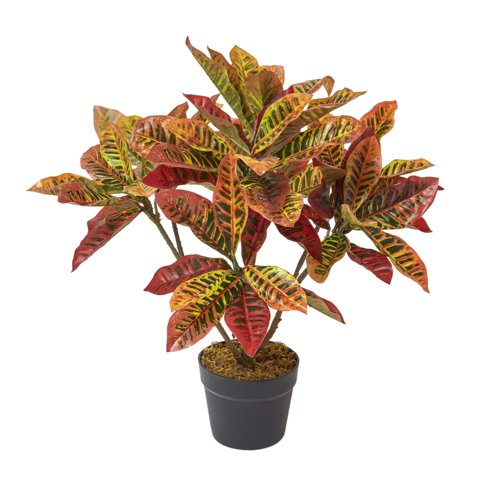 KUNSTPFLANZE Wunderstrauch rot, 65 cm - Rot, Kunststoff (65cm) - Homescapes