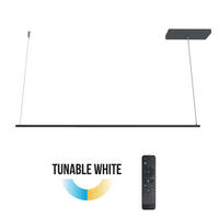 LED-HÄNGELEUCHTE - Anthrazit, Metall (2/100/2cm) - Lumicom