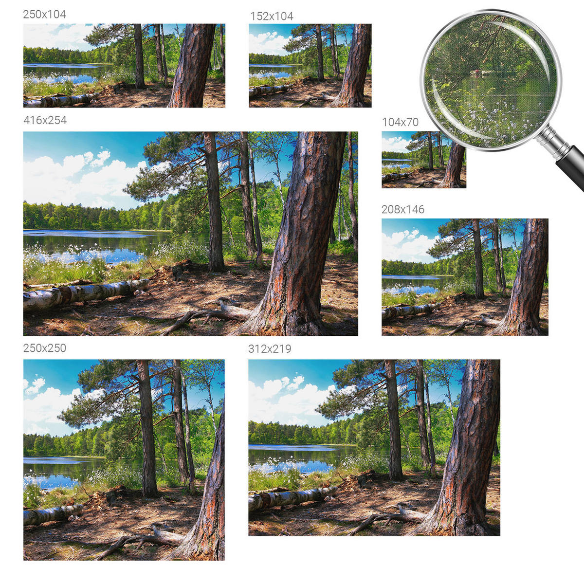 FOTOTAPETE 104x70 cm - Waldlandschaft - Grün, Textil (104/70cm) - Wallfluent