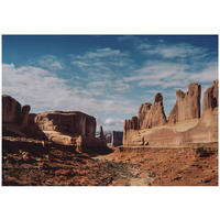 FOTOTAPETE Schlucht Natur Beige 250x175 cm - Multicolor, Papier (250/175cm) - Wallarena