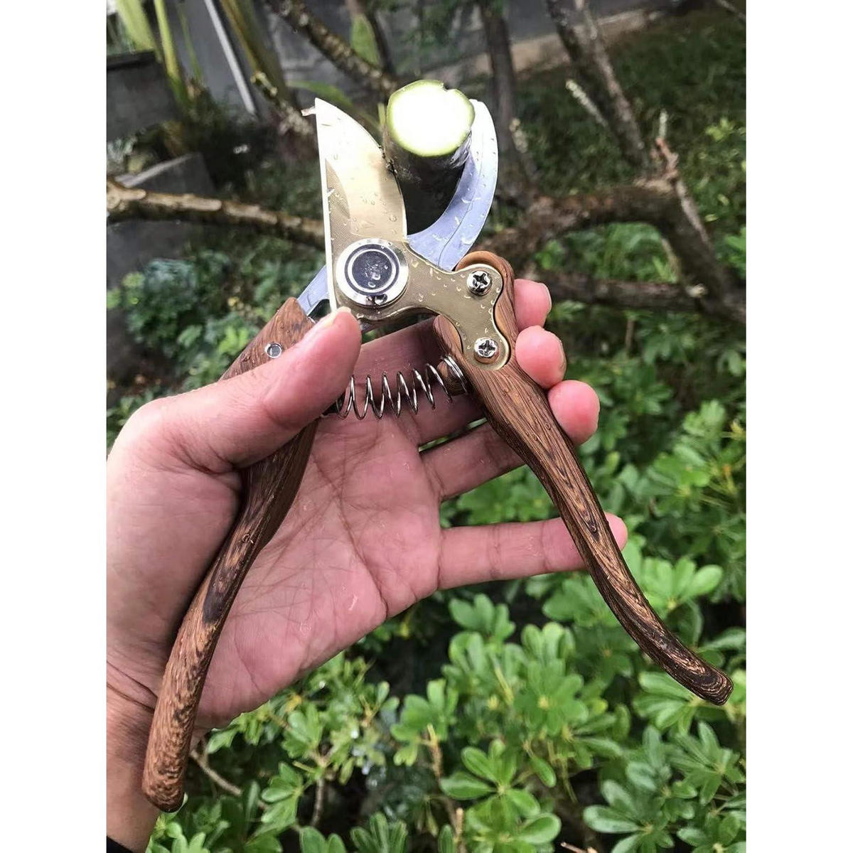 GARTENSCHERE aus japanischem SK4-Stahl mit Holzmaserung - Braun, Metall (6/2.4/21.8cm)