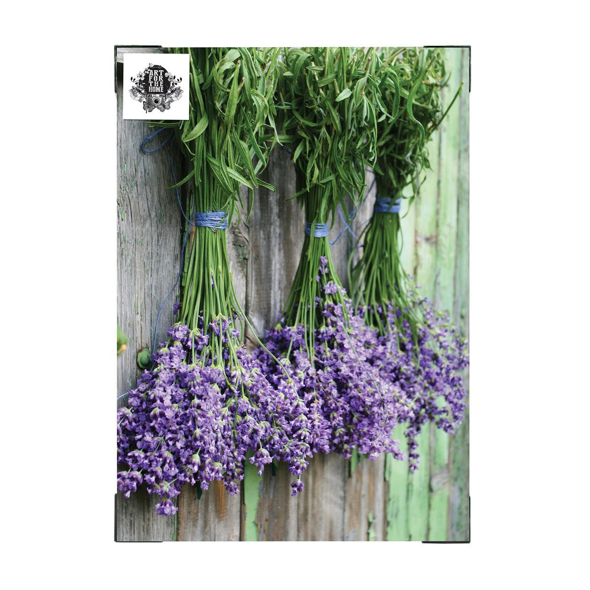 LEINWANDBILD Außenbereich Lavendel 70x50cm - Lila, Holzwerkstoff (70/70cm) - Art for the Home