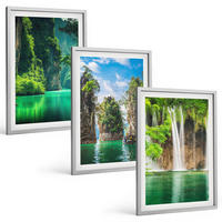 BILDER SET 3er Set - 40x60 cm Silberner Rahmen - Grüne Landschaften, Wasserfälle - Silberfarben, Kunststoff (40/60cm) - TULUP
