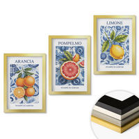 WANDBILDER 3er Set - 20x30 cm Goldrahmen - Vintage-Illustrationen von Zitrusfrüchten - Goldfarben, Kunststoff (20/30cm) - ArtPrintCave