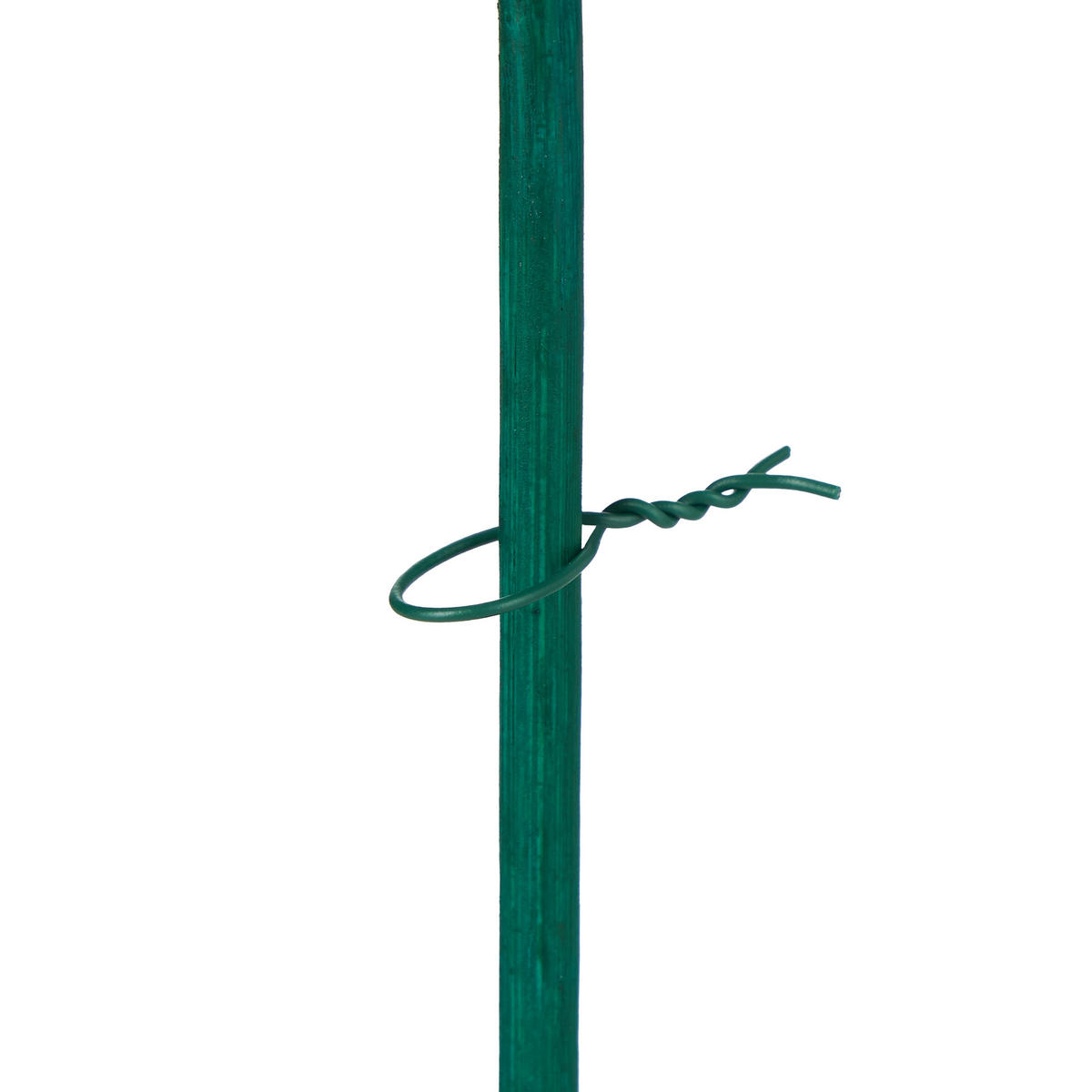 PFLANZSTÄBE Dunkelgrün 50er-Set Bambus mit Bindedraht 30 cm - Dunkelgrün, Holz/Metall (0.5cm) - Relaxdays