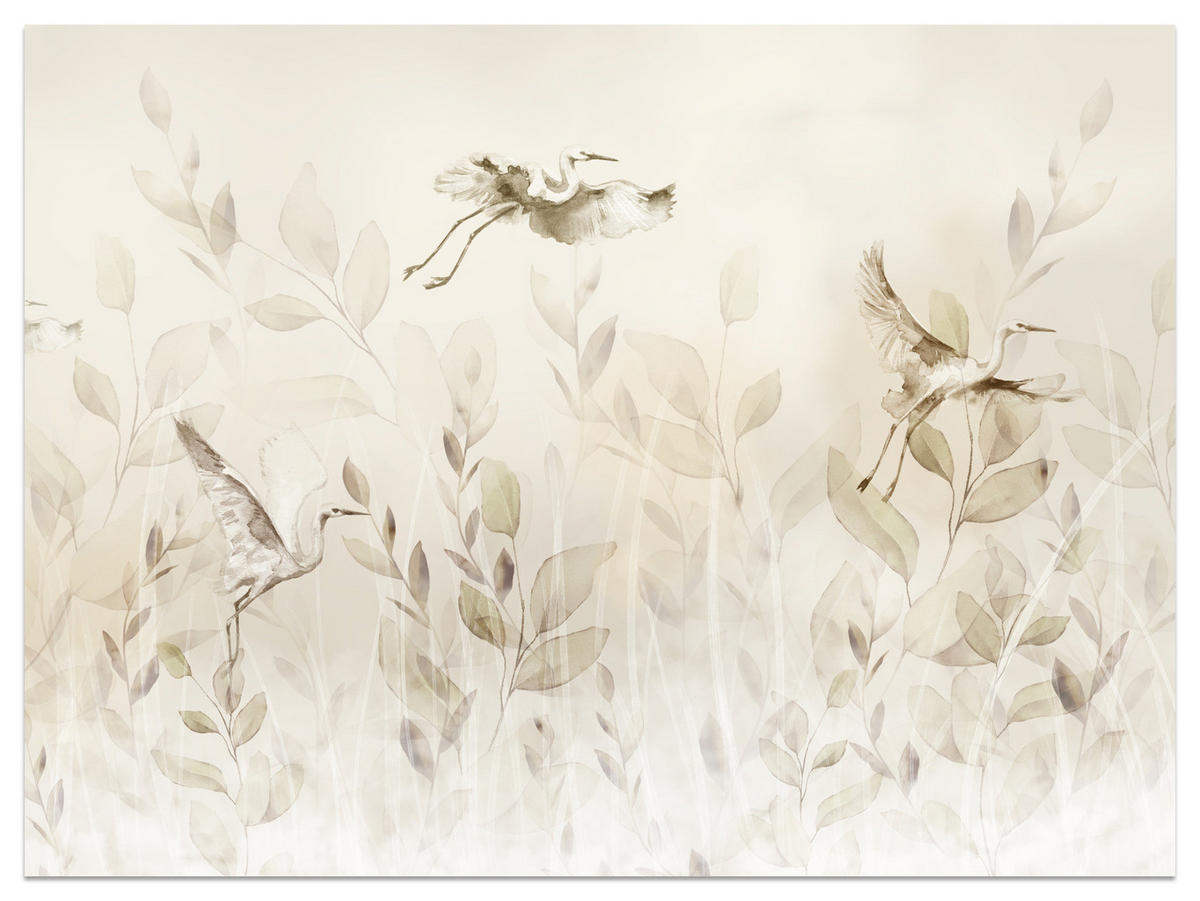 FOTOTAPETE Vögel Blätter Wiese Retro Stil 350x256 - Beige, Papier (350/256cm) - Muralo