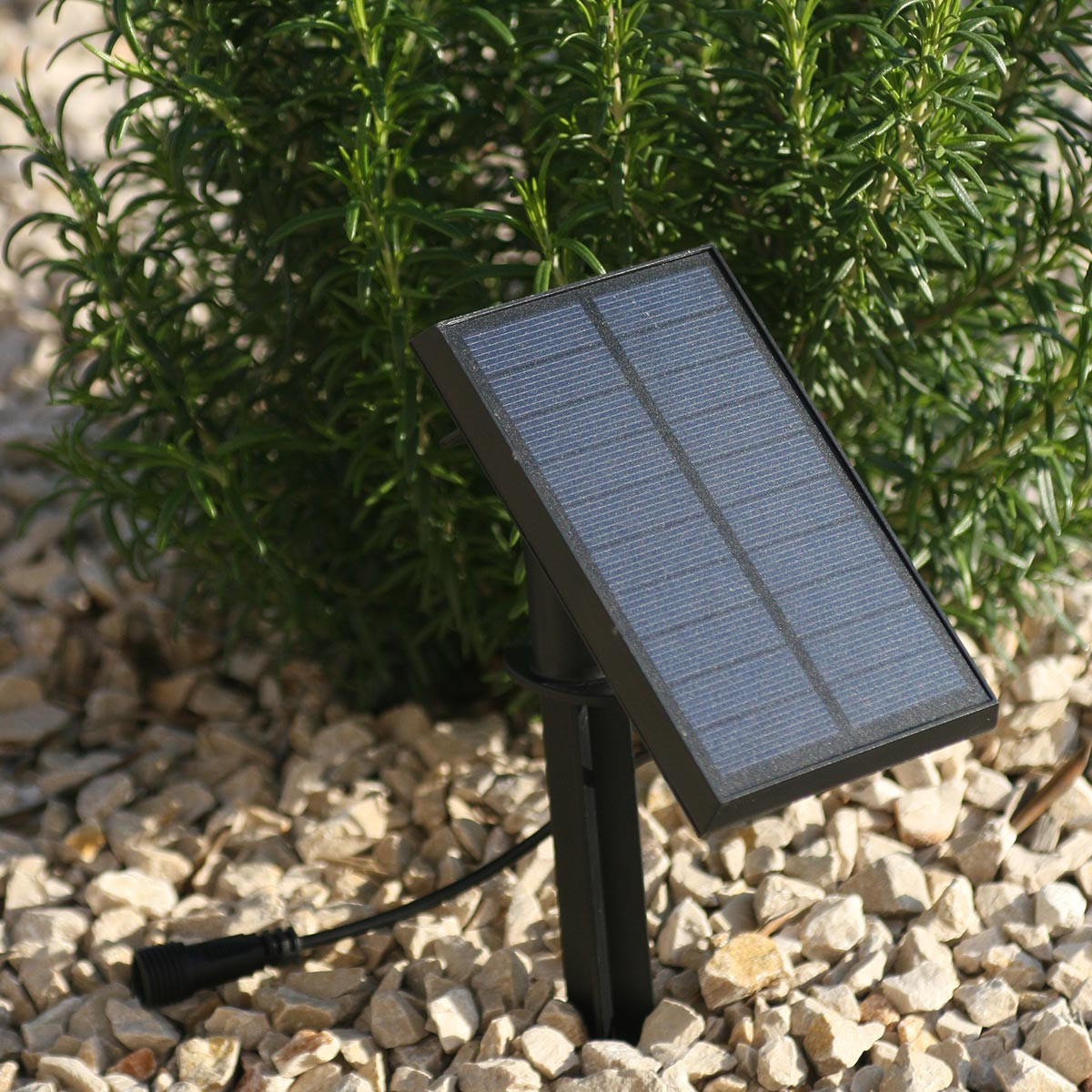 SOLAR-LICHTERKETTE MAFY schwarz - Schwarz, Kunststoff (650/1/1cm) - Lumisky