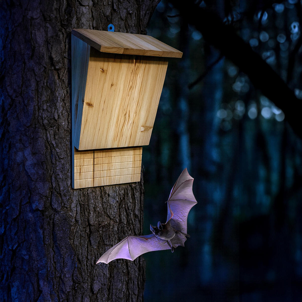 4XFLEDERMAUSKASTEN - Hellbraun, Holz/Metall (22.5/34/13cm) - Relaxdays