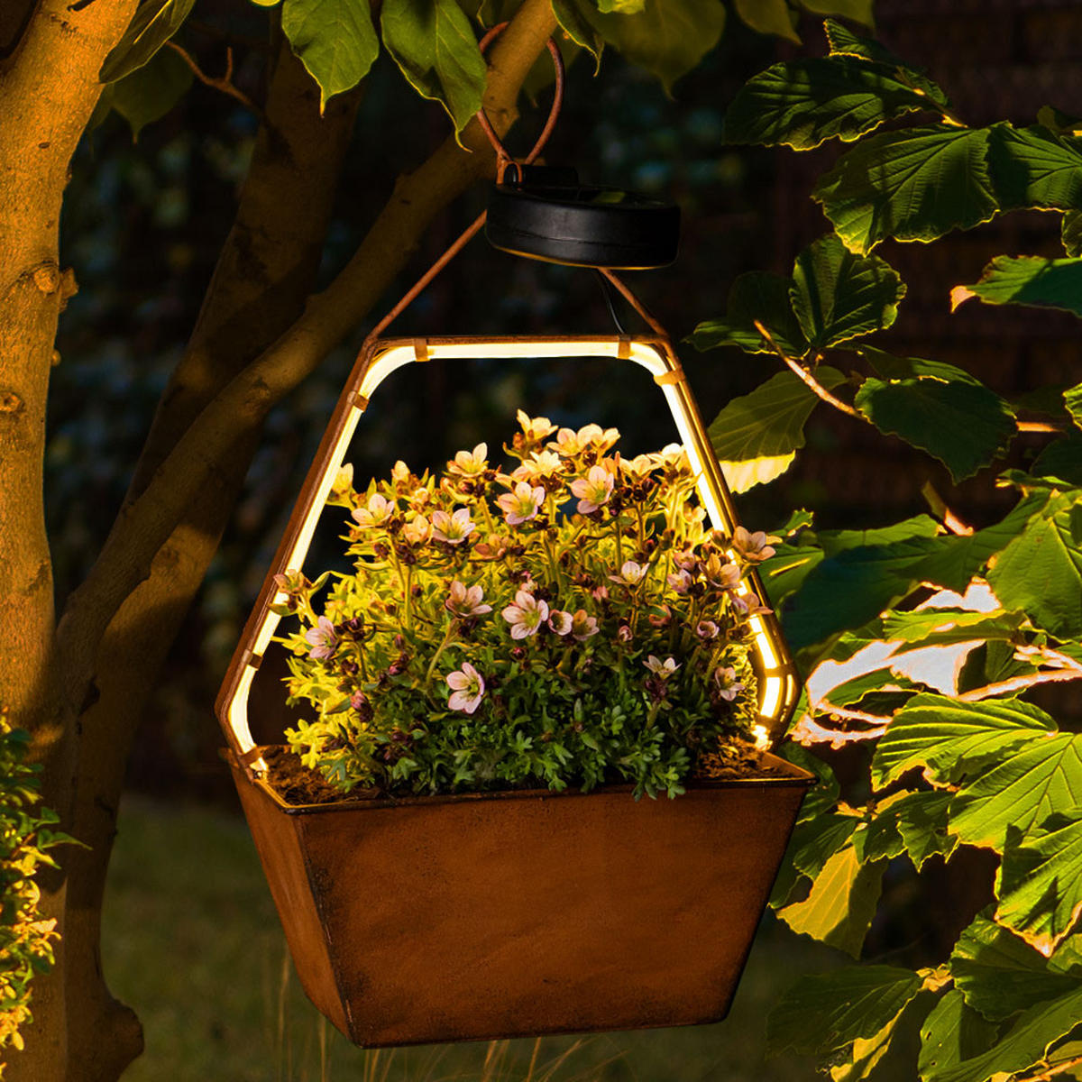 LED AUSSENLEUCHTE Metall Rostfarben Braun - Braun, Metall (20/11/34.5cm)