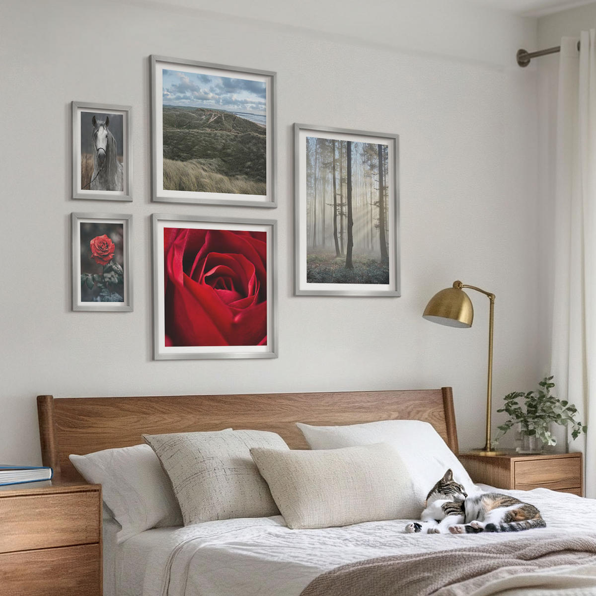 WANDBILDER 5er Set - 50x50 cm & 20x30 cm & 40x60 cm Silberner Rahmen - Rote Rosen auf pferdegrauem Hintergrund - Silberfarben, Kunststoff (40/60cm) - ArtPrintCave