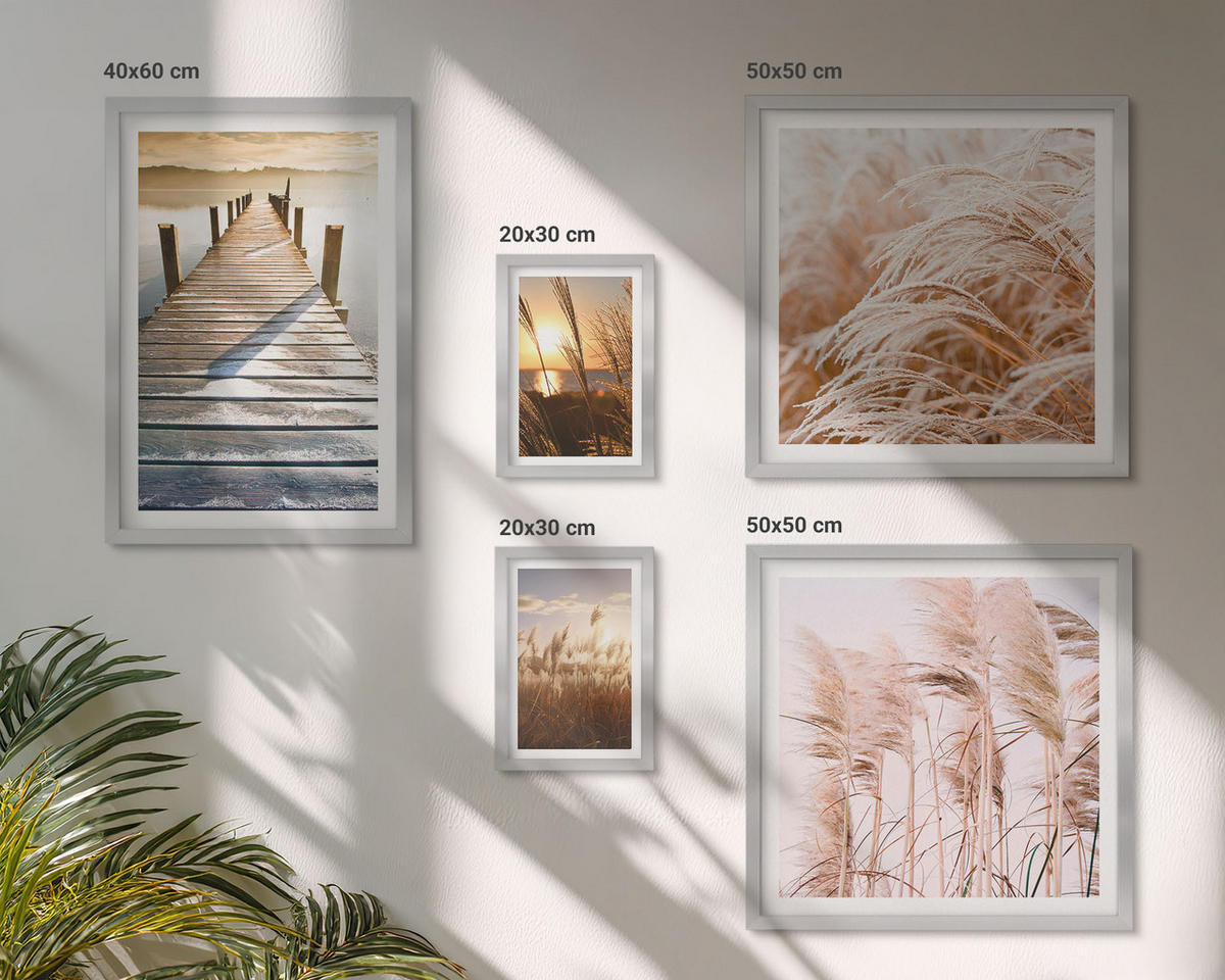 BILDER SET 5er Set - 50x50 cm & 20x30 cm & 40x60 cm Silberner Rahmen - Boho-Grasfeld-Sonnenuntergang - Silberfarben, Kunststoff (40/60cm) - TULUP