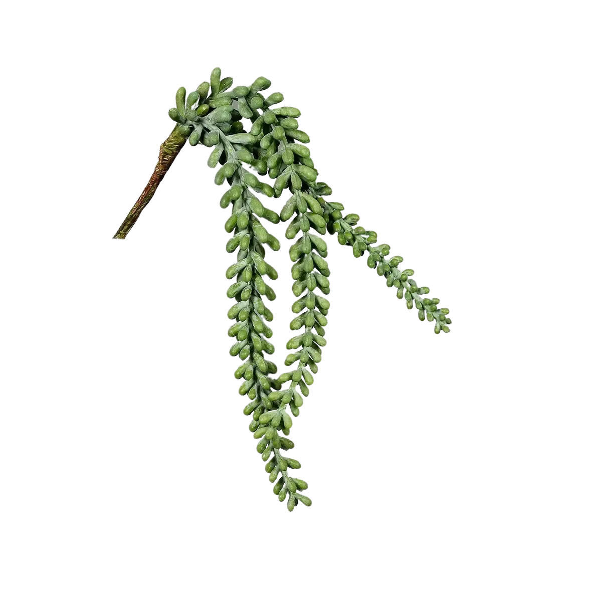 KUNSTPFLANZE Künstlicher Sukkulenten Hänger - Jannis 38 cm - Grün, Kunststoff (38cm) - aplanta