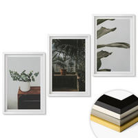 WANDBILDER 3er-Set - 40x60 cm Weißer Rahmen - Rustikale Topfpflanzen - Weiß, Kunststoff (40/60cm) - ArtPrintCave