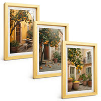 BILDER SET 3er Set - 20x30 cm Goldrahmen - Garten-Zitrus-Sonne - Goldfarben, Kunststoff (20/30cm) - TULUP