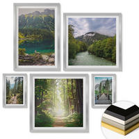 WANDBILDER 5er Set - 50x50 cm & 20x30 cm & 40x60 cm Silberner Rahmen - Straße Wald Berge Hirsch Natur - Silberfarben, Kunststoff (40/60cm) - ArtPrintCave