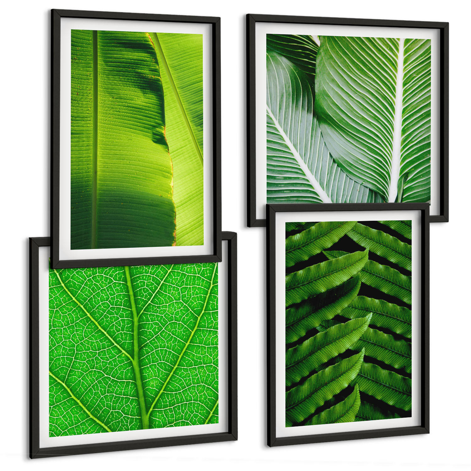 BILDER SET 4er Set - 50x50 cm & 40x60 cm Schwarzer Rahmen - Nahaufnahme von tropischen Blättern - Schwarz, Kunststoff (50/50cm) - TULUP