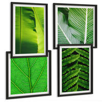 BILDER SET 4er Set - 50x50 cm & 40x60 cm Schwarzer Rahmen - Nahaufnahme von tropischen Blättern - Schwarz, Kunststoff (50/50cm) - TULUP