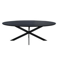 ESSTISCH Ferris Schwarz 100/210/76 cm - Schwarz, Holz (100/210/76cm) - Starfurn