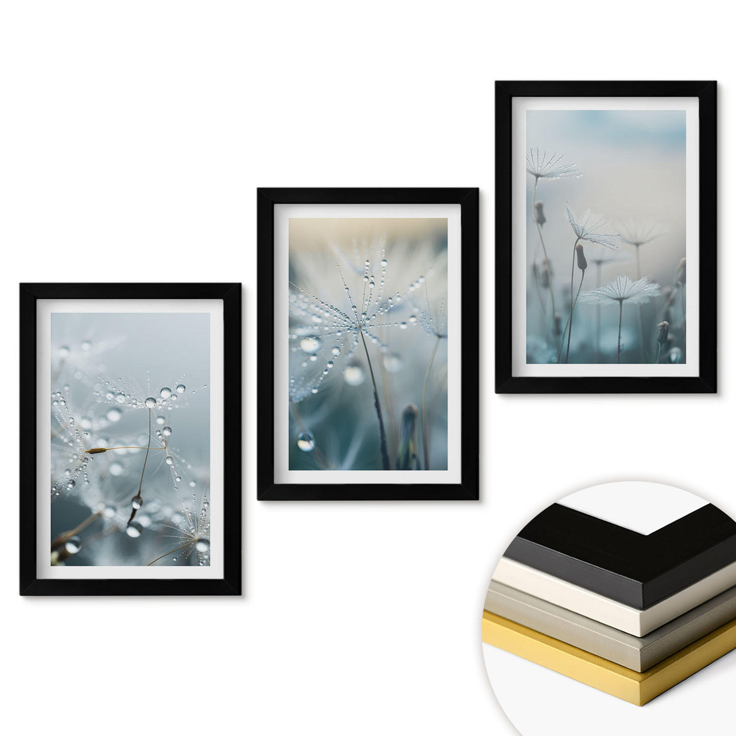 WANDBILDER 3er-Set - 20x30 cm Schwarzer Rahmen - Tautropfen auf Löwenzahn - Schwarz, Kunststoff (20/30cm) - ArtPrintCave