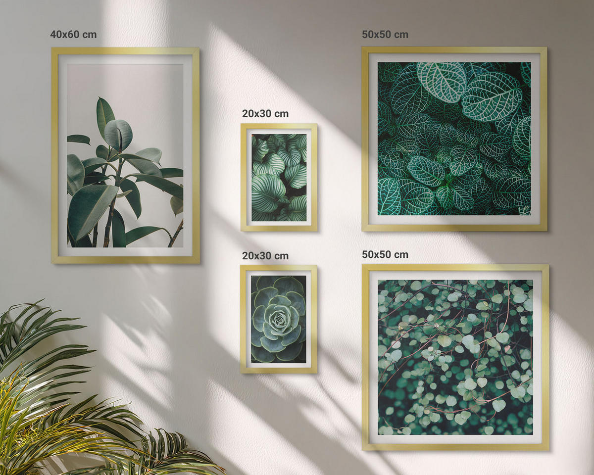 BILDER SET 5er Set - 50x50 cm & 20x30 cm & 40x60 cm Goldrahmen - Grüne Wälder, kristallklares Wasser - Goldfarben, Kunststoff (40/60cm) - TULUP