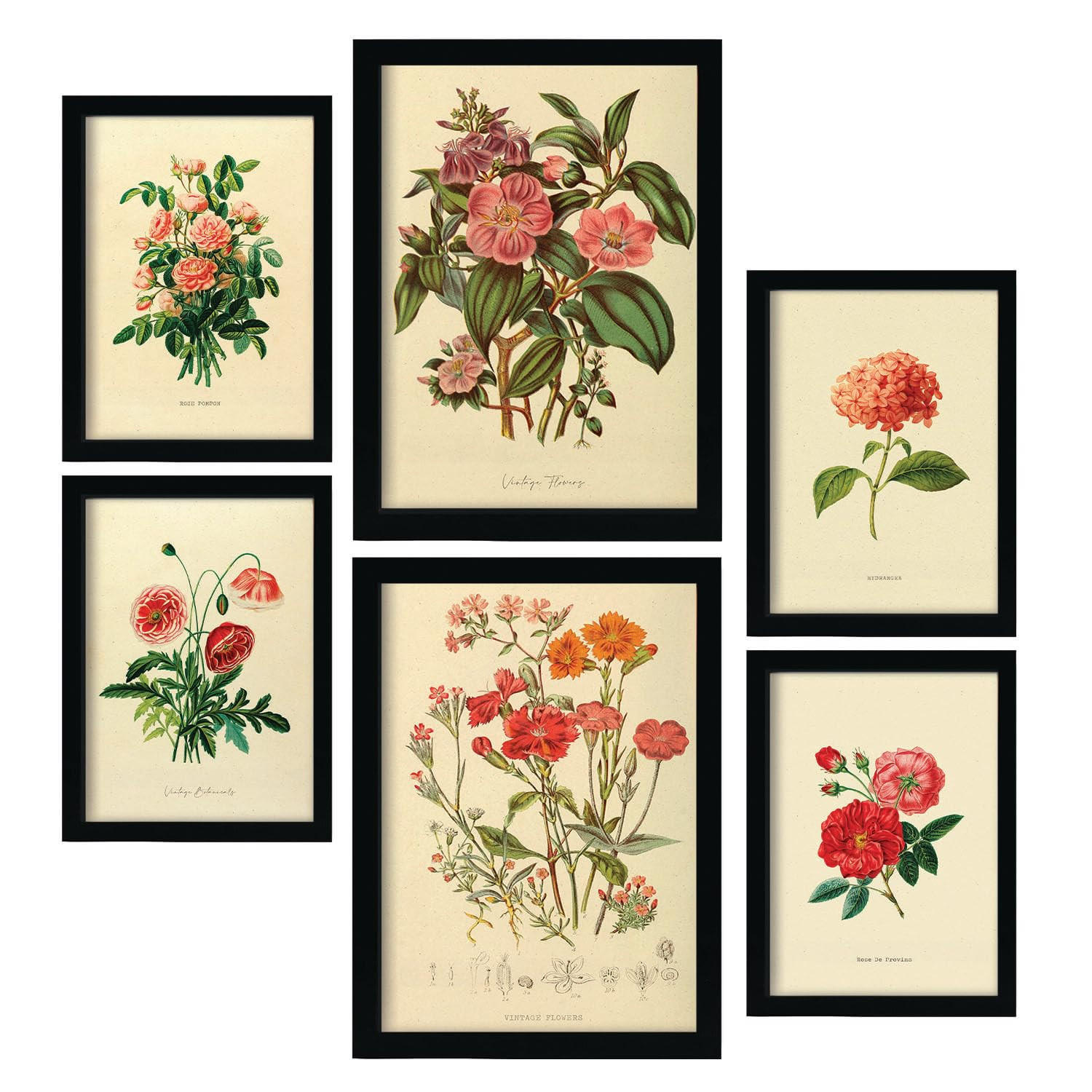 POSTER Set Mit 6 Rosenrosa Blumen In Vintage A3 & A4 Rahmenlos - Klar, Papier (29/3cm) - Nacnic