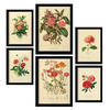 POSTER Set Mit 6 Rosenrosa Blumen In Vintage A3 & A4 Rahmenlos - Klar, Papier (29/3cm) - Nacnic