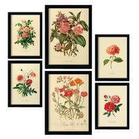 POSTER Set Mit 6 Rosenrosa Blumen In Vintage A3 & A4 Schwarzer Rahmen - Schwarz, Papier (29/3cm) - Nacnic