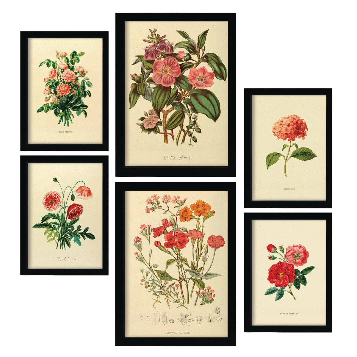 POSTER Set Mit 6 Rosenrosa Blumen In Vintage A3 & A4 Schwarzer Rahmen - Schwarz, Papier (29/3cm) - Nacnic
