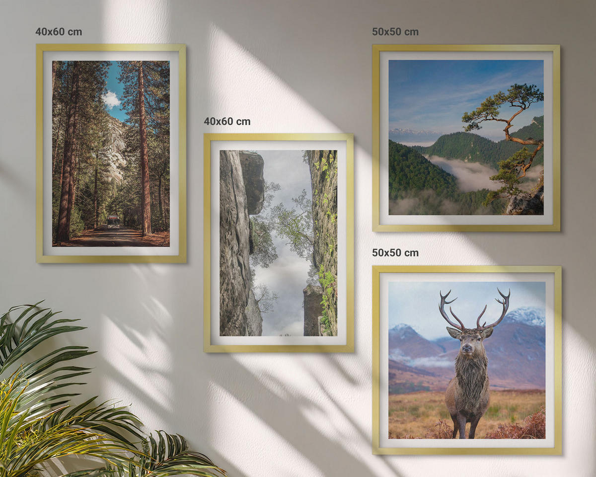 BILDER SET 4er Set - 50x50 cm & 40x60 cm Goldrahmen - Straße Wald Berge Hirsch Natur - Goldfarben, Kunststoff (50/50cm) - TULUP