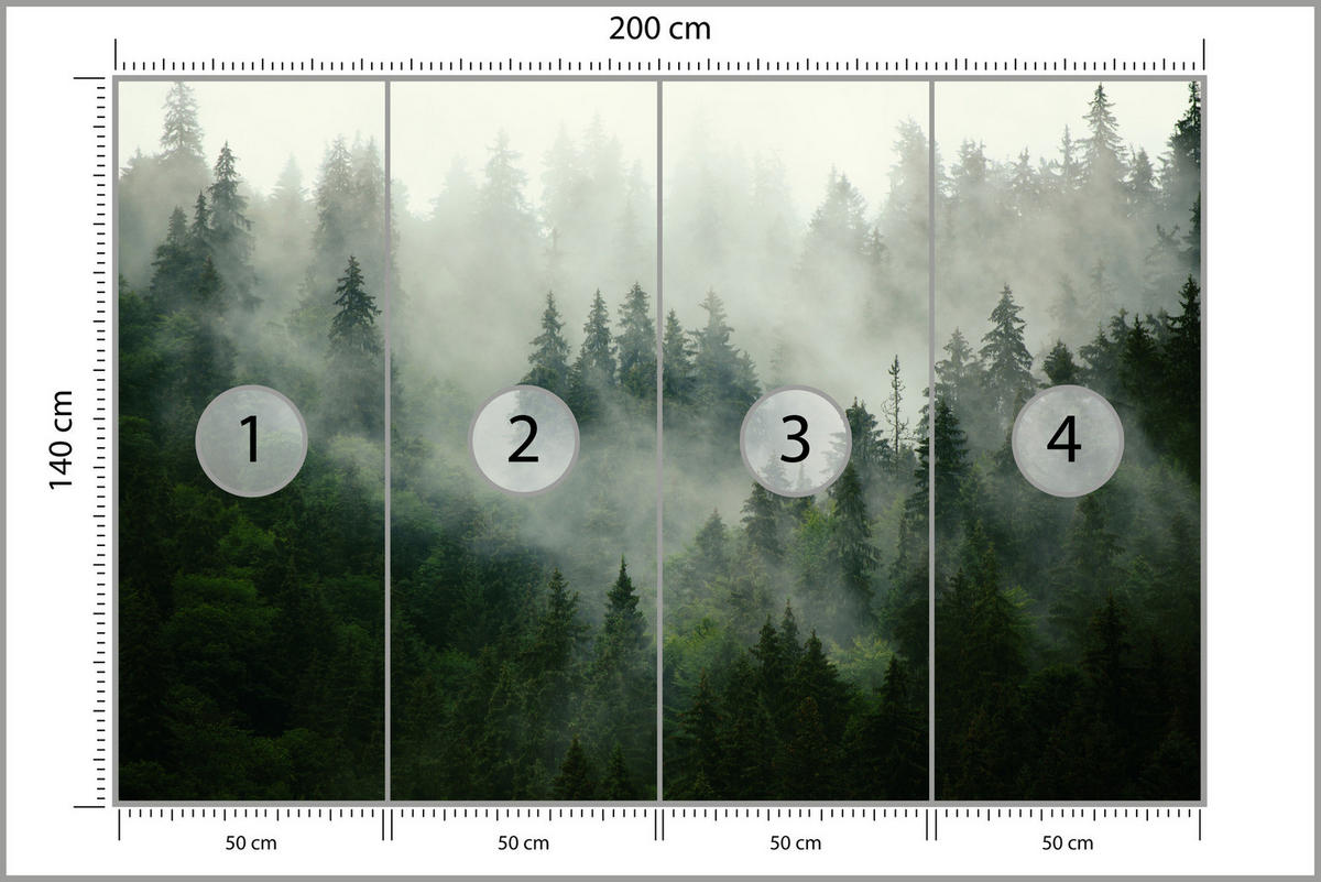 FOTOTAPETE Wald im Nebel Natur Landschaft 3D 200x140 - Grau/Grün, Papier (200/140cm) - Muralo