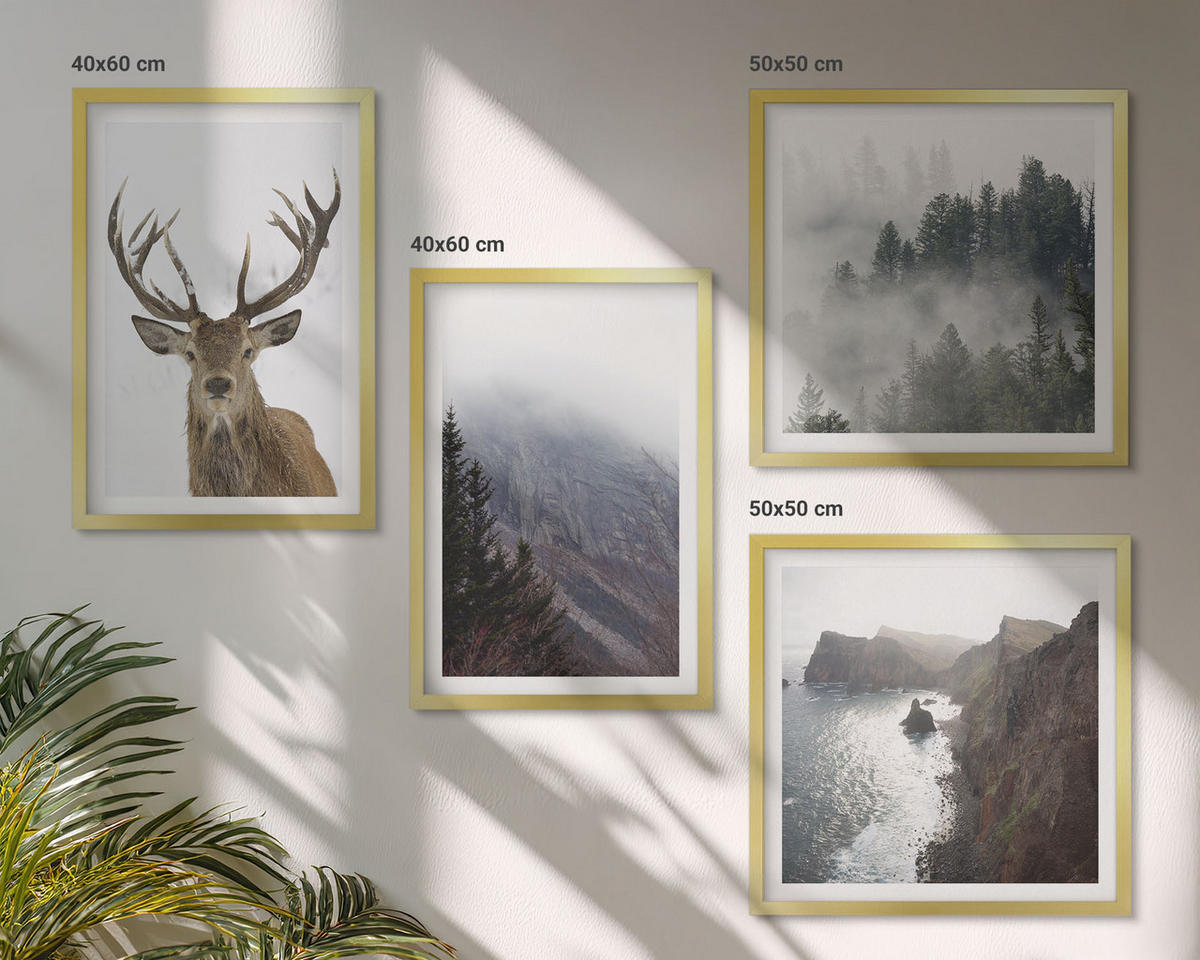 BILDER SET 4er Set - 50x50 cm & 40x60 cm Goldrahmen - Berglandschaft Nebel Hirsch - Goldfarben, Kunststoff (50/50cm) - TULUP