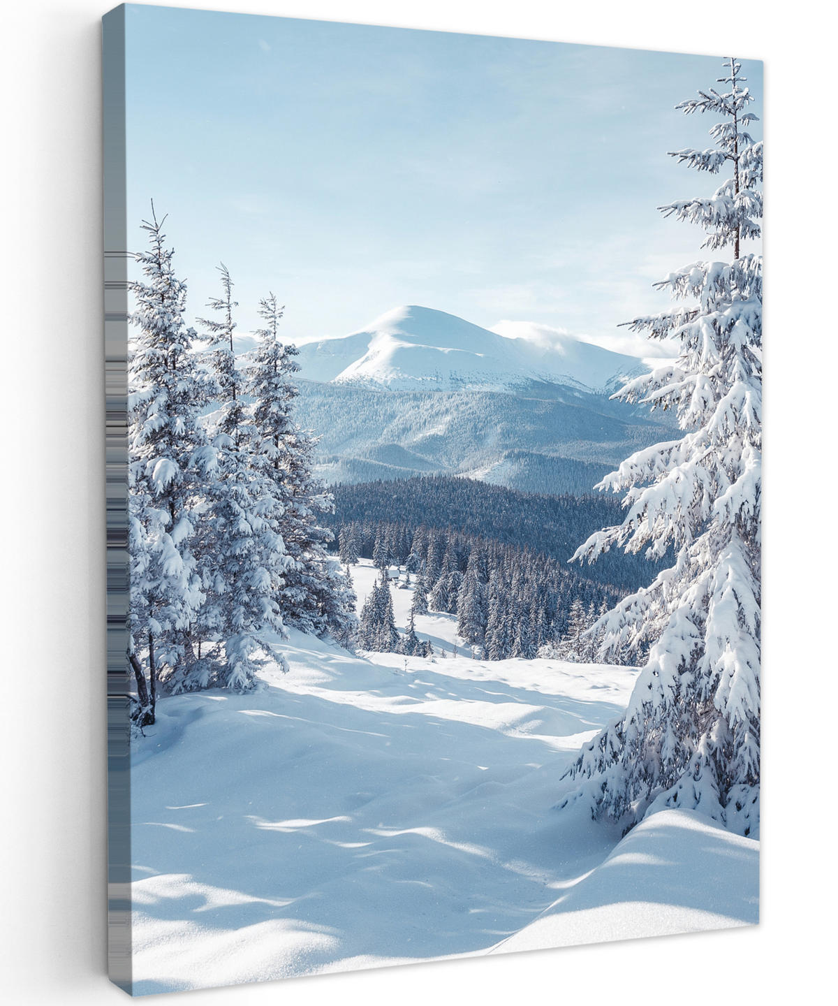 LEINWANDBILD Winterlandschaft - Natur - Berge - Bäume - Schnee 60x80 cm - Hellblau, Textil (60/80cm) - MuchoWow
