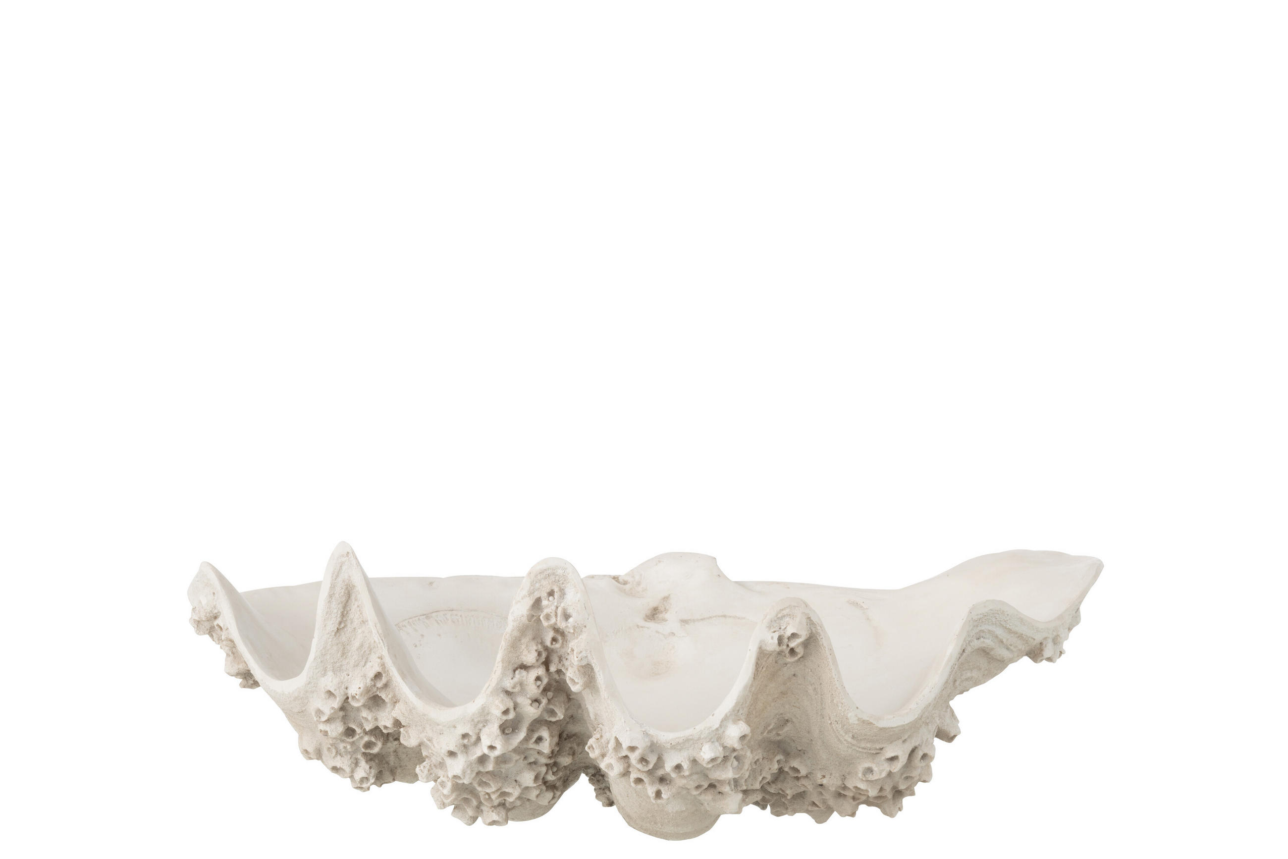 DEKORATIVE SCHÜSSEL MUSCHEL - Weiß, Glas/Naturmaterialien (28/18/52cm) - J-Line