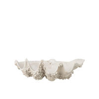 DEKORATIVE SCHÜSSEL MUSCHEL - Weiß, Glas/Naturmaterialien (28/18/52cm) - J-Line