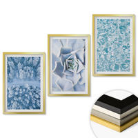 WANDBILDER 3er Set - 40x60 cm Goldrahmen - Winterwald blaue Blume Wasser - Goldfarben, Kunststoff (40/60cm) - ArtPrintCave