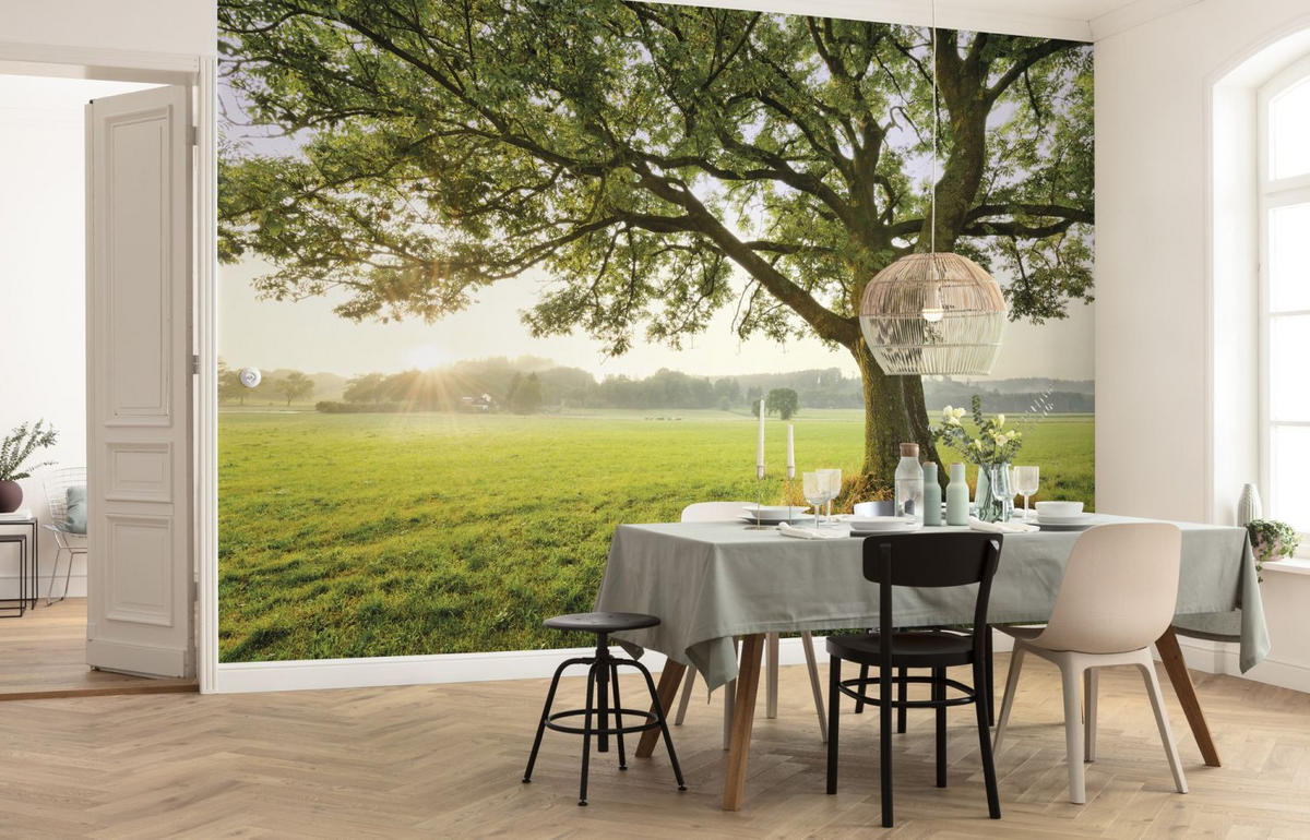 FOTOTAPETE Natur-motiv 450 x 280 cm - Grün, Papier (450/280cm) - Sanders & Sanders