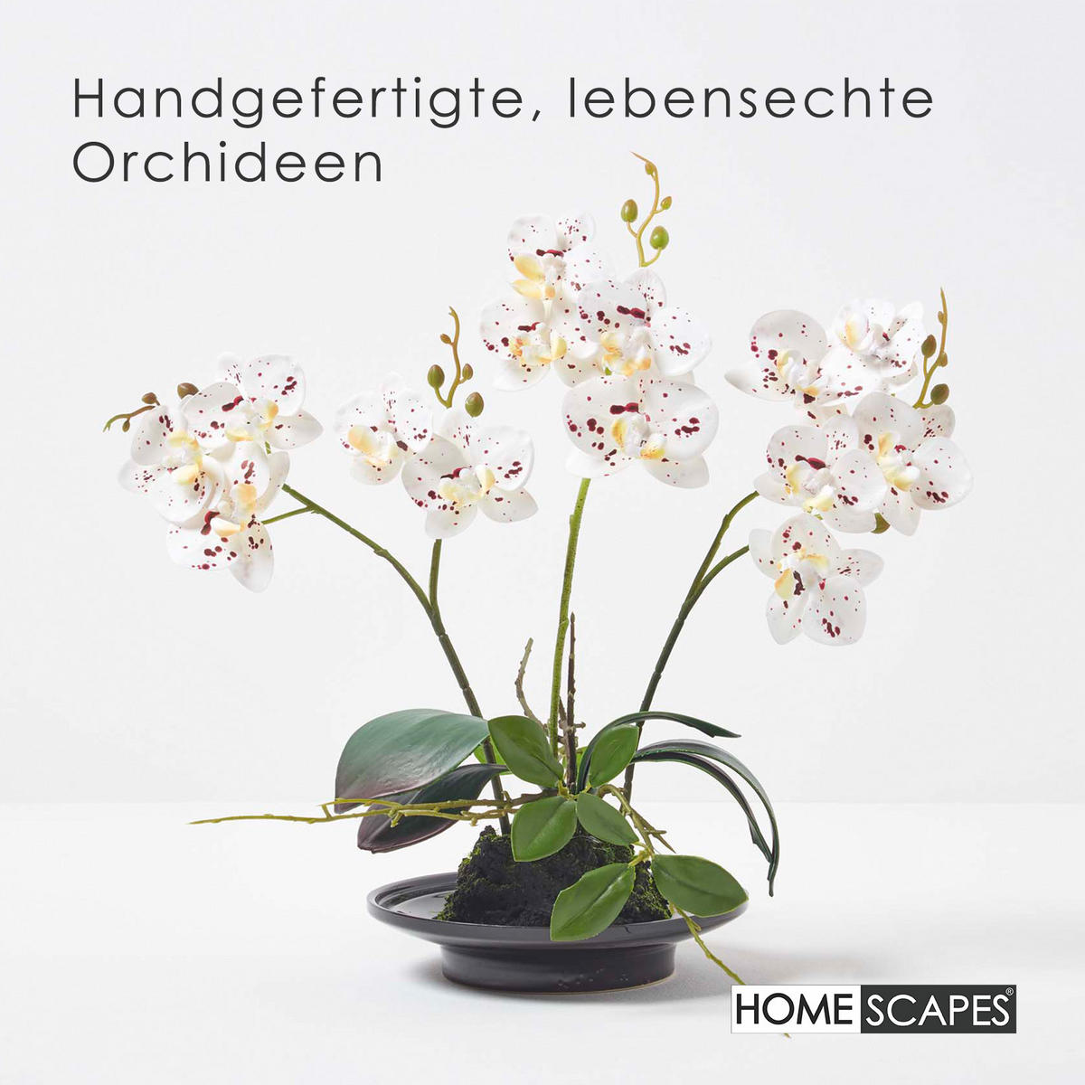 KUNSTBLUME Orchidee weiß-pink in Deko-Schale, 38 cm - Weiß, Kunststoff (38cm) - Homescapes