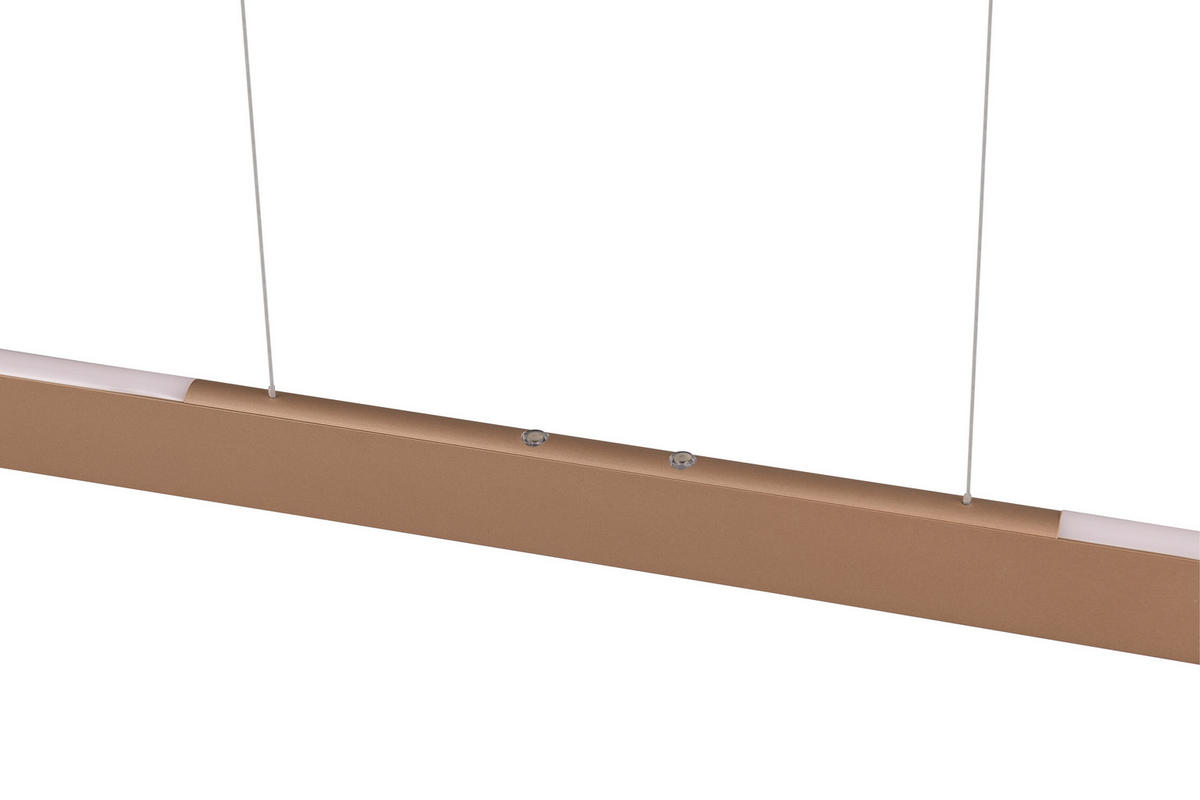 HÄNGELAMPE HELIOS - Braun - 0/0/150 cm - Braun, Metall (100/100/150cm) - Trio Leuchten