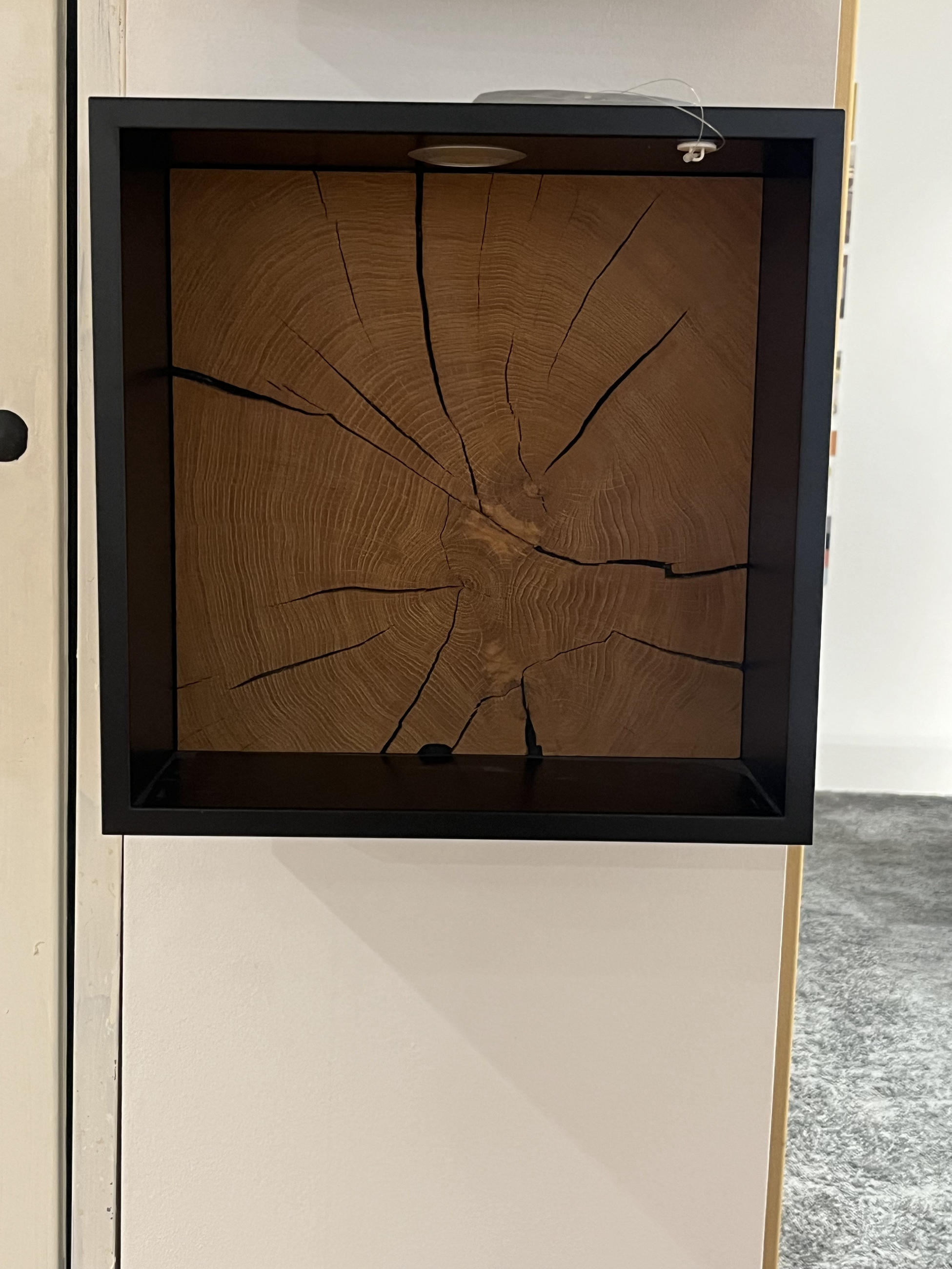 Wandregal DRYAD - Invivus