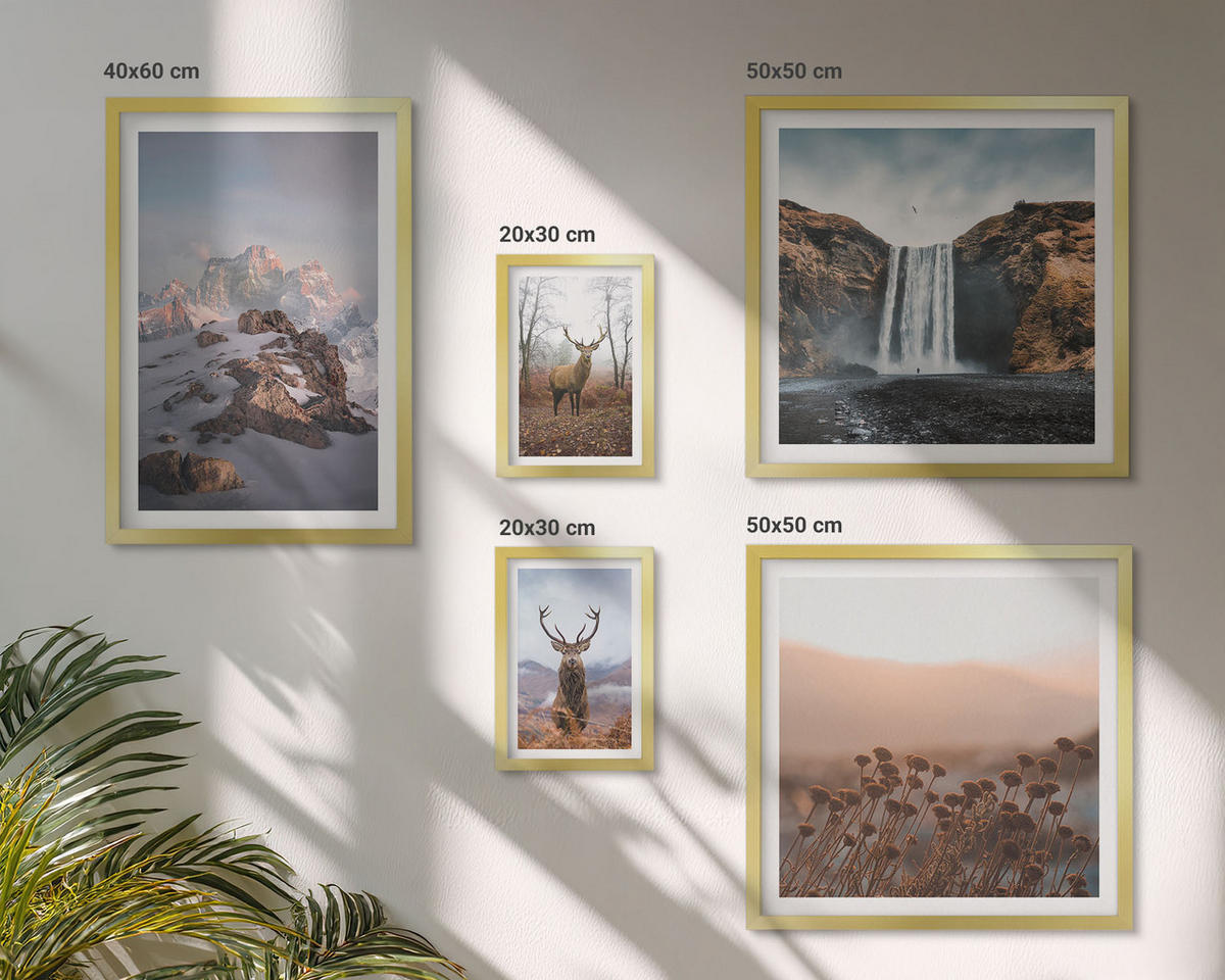 WANDBILDER 5er Set - 50x50 cm & 20x30 cm & 40x60 cm Goldrahmen - Urlaub Palmen Wasserfall - Goldfarben, Kunststoff (40/60cm) - ArtPrintCave