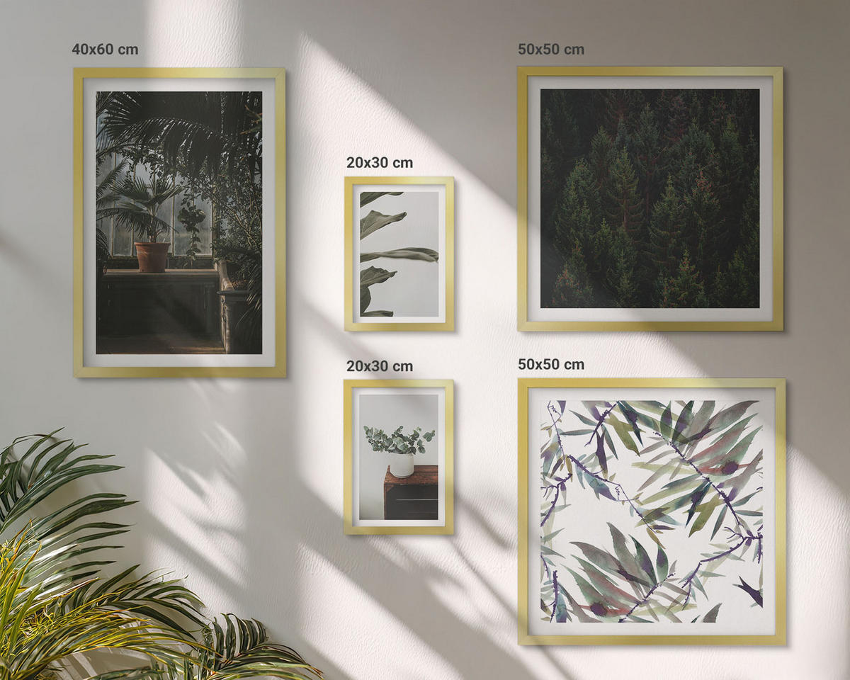 BILDER SET 5er Set - 50x50 cm & 20x30 cm & 40x60 cm Goldrahmen - Rustikale Topfpflanzen - Goldfarben, Kunststoff (40/60cm) - TULUP