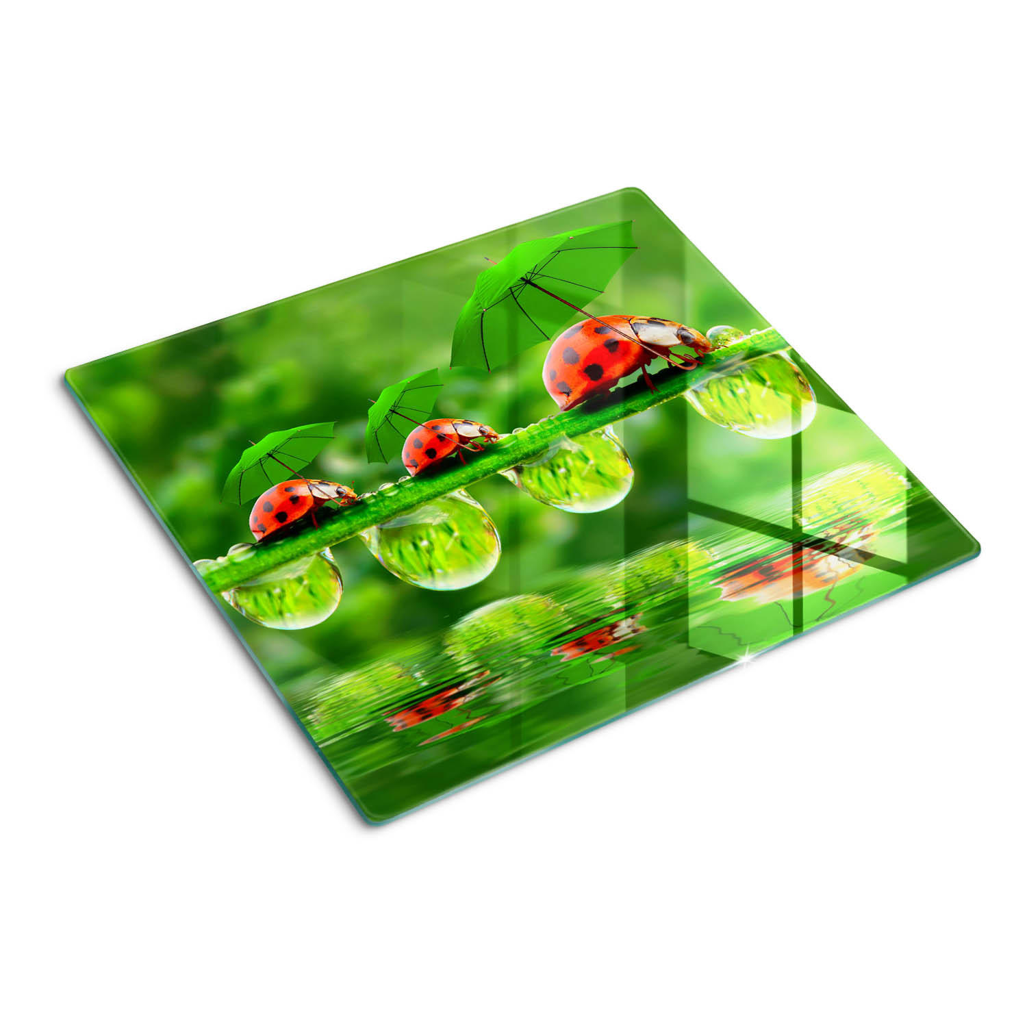 GLASPLATTE 60x52 cm Marienkäfer - Grün, Glas (60/0.4/52cm) - TULUP